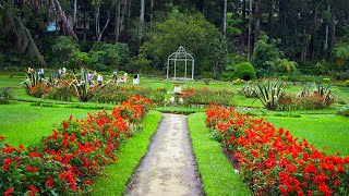 Victoria park is a public located in nuwara eliya, next to the eliya
post office sri lanka. (nuwara eliya) badulla rd, el...