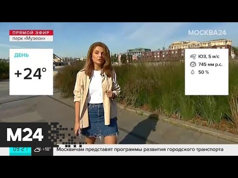 "Утро": переменная облачность и до 24 градусов тепла ожидаются в Москве 25 августа - Москва 24