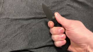 Quick Demo Of The Protech Strider PT Auto