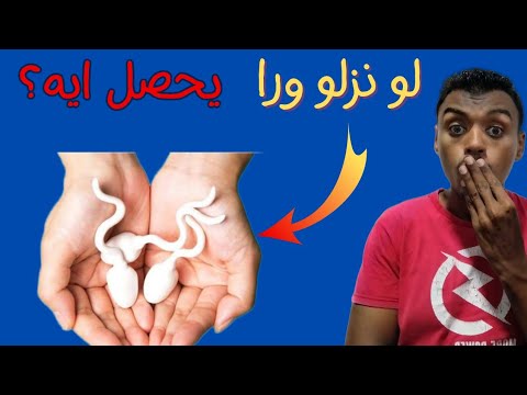 لو نزلو ورا يحصل ايه معلومة طبية عن الجنس الشرجي