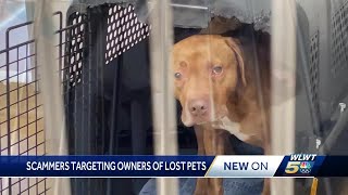 Animal shelters warn of scammers targeting pet owners