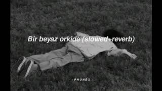 bir beyaz orkide (slowed+reverb) Resimi