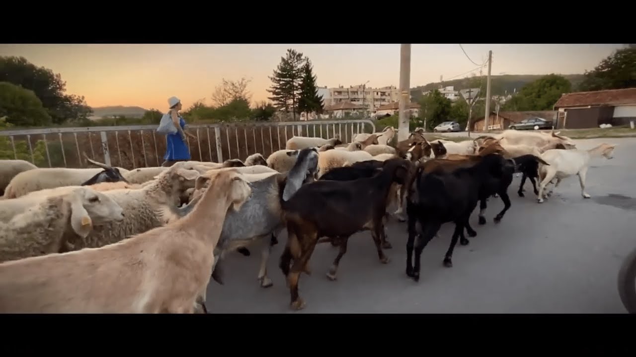 ПРЕЗ СОЦА ВСИЧКИ БЯХМЕ БОГАТИ!