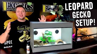 LEOPARD GECKO SETUP FOR BEGINNERS!