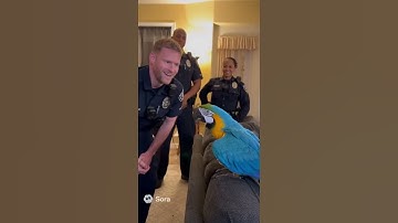 Talking Parrot vs Police 🤣 | Comedy Shorts #shorts #parrot #talkingparrot