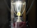 Trophy-World Malaysia | Custom Trophies & Plaques Supplier - Golden Cup Trophy Wooden base