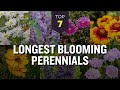TOP 7 Longest Blooming Perennials 🌷🌺 Flowering in Spring Summer and Fall Season 🌼