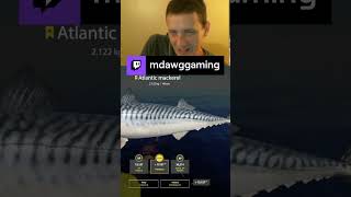 trophy mack | mdawggaming on #Twitch