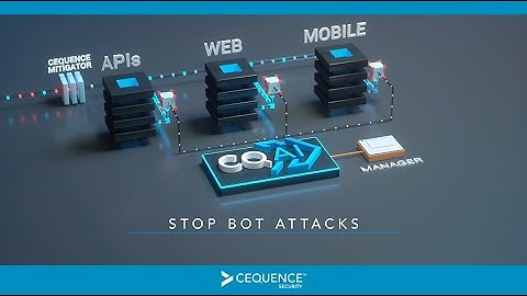Stop Bot Attacks