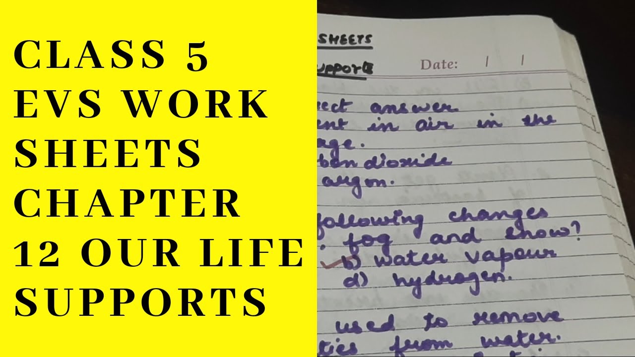 class 5 science worksheets chapter 12 our life supports youtube