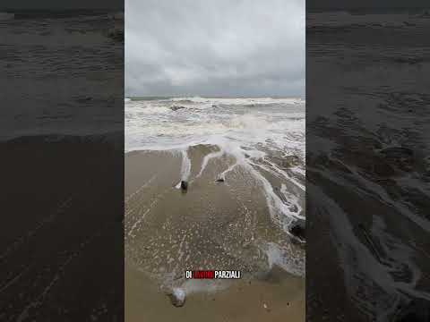 Video Torvaianica, il mare bussa alle porte: emergenza erosione a Campo Ascolano