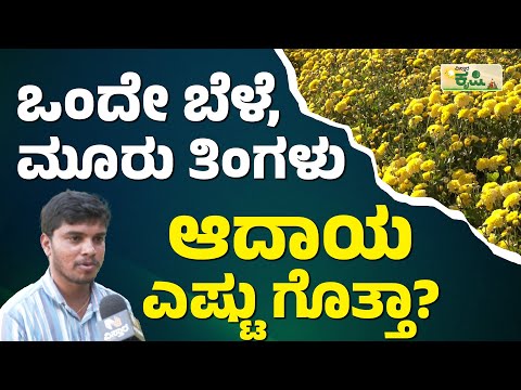 ಪುಷ್ಪ ಕೃಷಿಯಲ್ಲಿ ಲಕ್ಷ ಲಕ್ಷ ಆದಾಯ ಗಳಿಸಿದ ಅನ್ನದಾತರು! |Flower Farming | Floriculture Farming In Karnataka