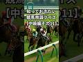 競馬用語クイズ中級編11 #競馬 #競馬予想 #競馬用語