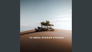 Tu Mera Sharan Sthaan (Radio Edit)