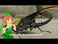 [アーケード] 甲虫王者ムシキング - ヘルクレスオオカブト VS 砂漠の森｜2006セカンド Mushiking