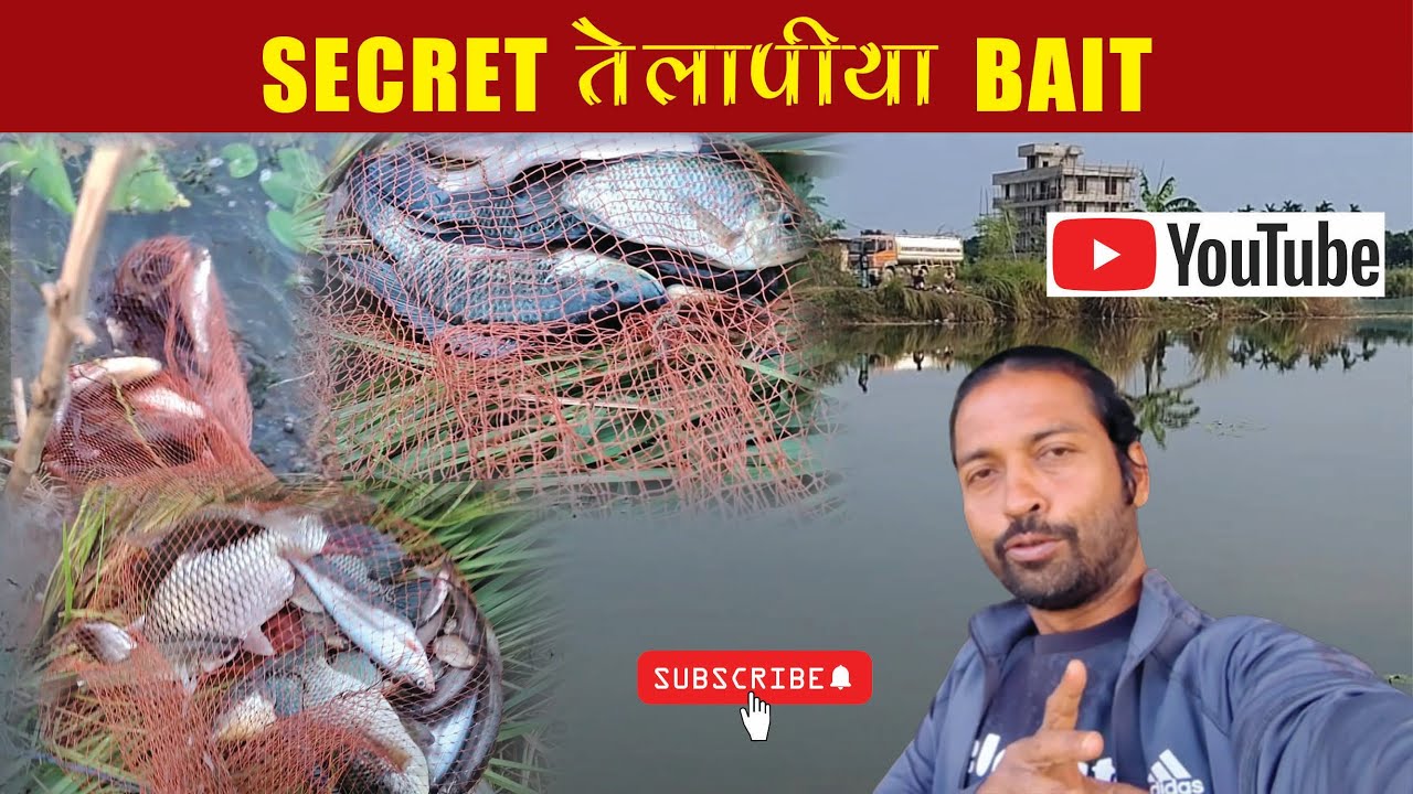 Back-to-Back Telepiya! Aaj Ka Epic Fishing Day! 🎣🏆