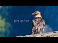 Parque Nacional Ordesa y Monte Perdido. 100 aniversario