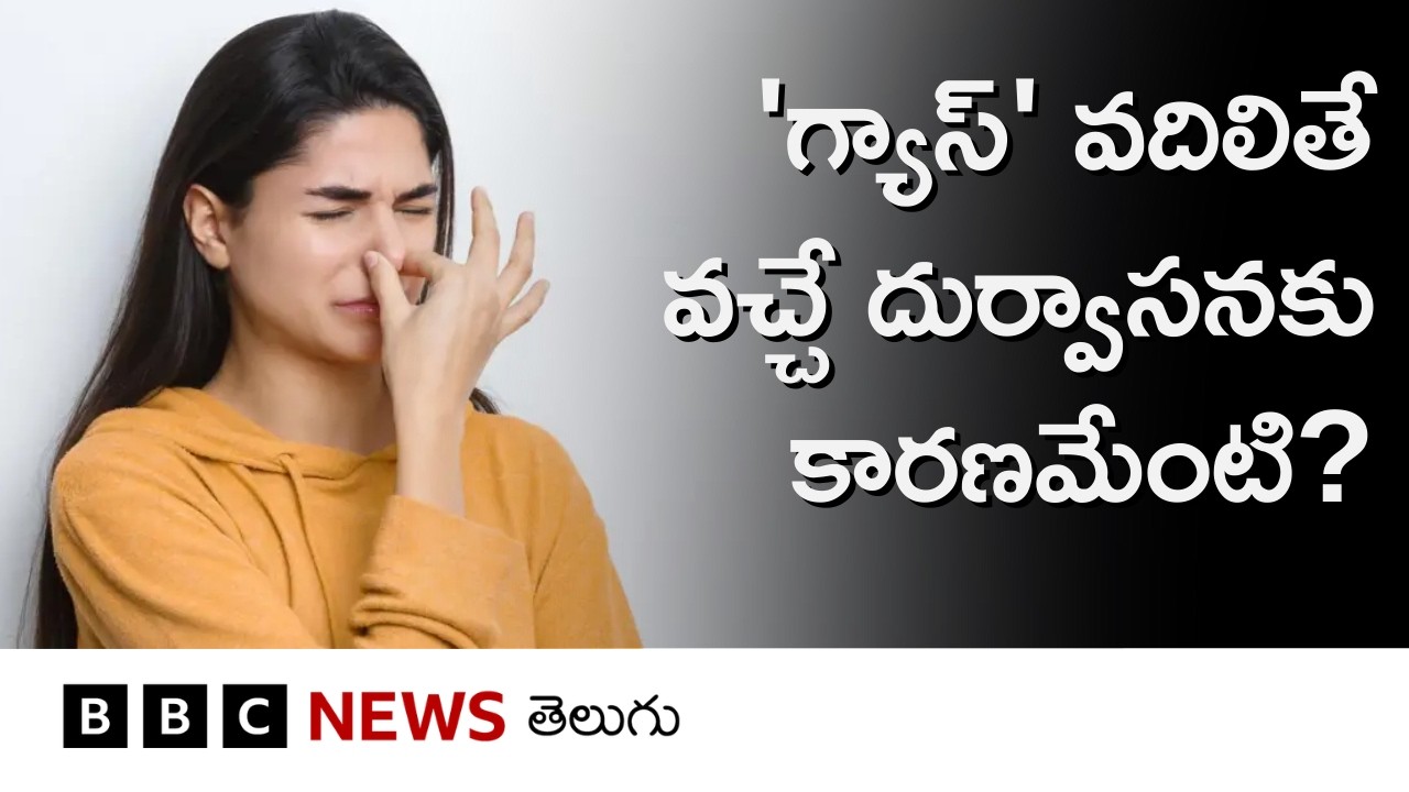 Gas వదిలినప్పుడు దుర్వాసనకు కారణమేంటి? మీ పేగులు దాని గురించి ఏం చెబుతున్నాయి? BBC Telugu