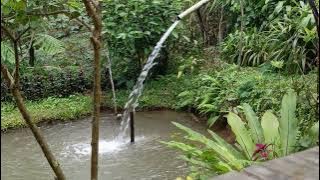 detik mungkin berlalu sayatan yg bikin malu #cintaalam #lukatakberdarah #psikoloji #ketenanganhati 