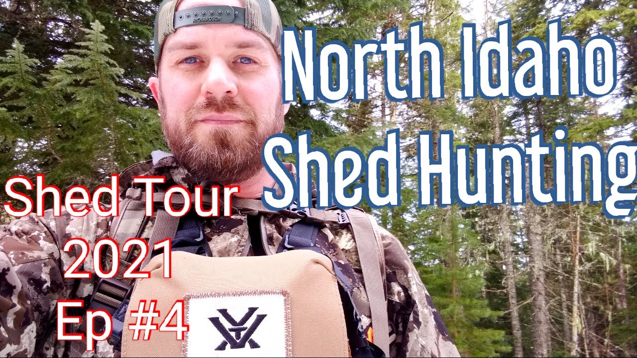 North Idaho SHED HUNTING 2021/Shed Tour EP 4/ SOLO HUNT YouTube