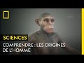 Comprendre  les origines de lhomme