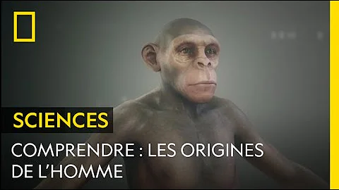 Où et quand est apparu le premier homme ?