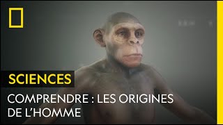 COMPRENDRE : Les origines de l'Homme