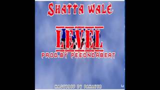 Shatta Wale - Level (Audio Slide)