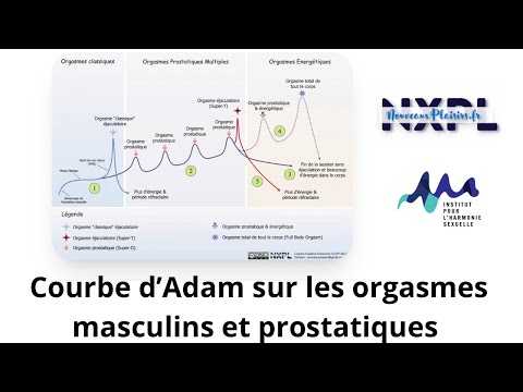 La courbe des orgasmes masculins