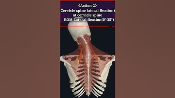 《levator scapulae muscle》Origin,insertion,innervation,arterial supply & 3D Action.