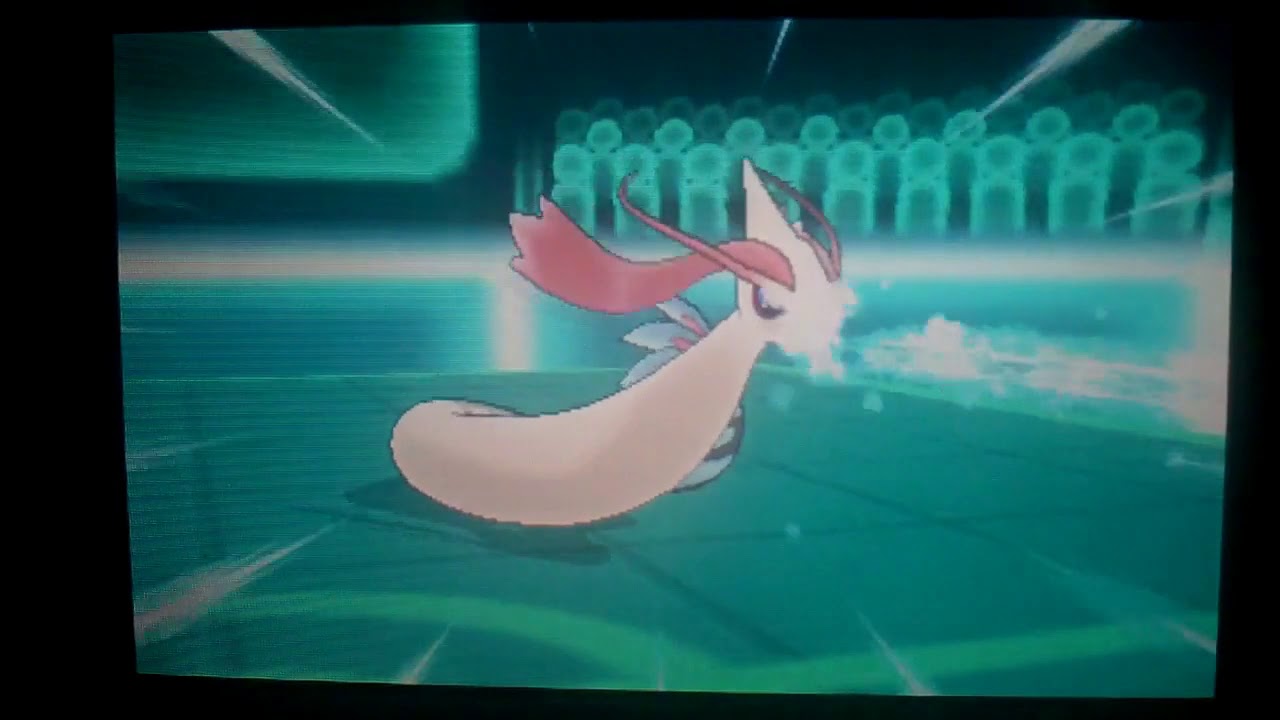 Combates Wifi Pokemon XY Combates dobles entre amigos el poder maldito de meloetta