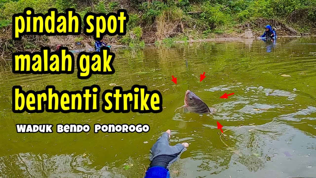 WADUK BENDO PONOROGO‼️PINDAH SPOT MALAH TAK BERHENTI STRIKE || mancing ikan nila 