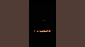 سورة طه / القارئ عبدالعزيز سحيم. #اكسبلور #quran