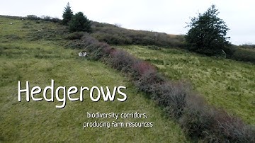 Resource producing Corridors on the Farm: "THE HEDGEROW