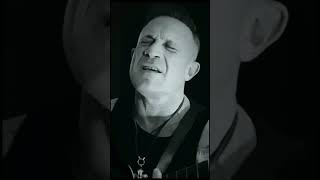 𝐇𝐚𝐥𝐭 𝐃𝐢𝐜𝐡 𝐀𝐧 𝐌𝐢𝐫 𝐅𝐞𝐬𝐭 | Akustik-Cover '26
