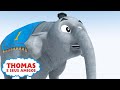 Thomas e o Elefante | Compilação | Desejos mágicos de aniversário do Thomas | Desenho Animados