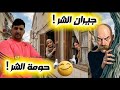 الأحياء الشعبية كيف تعيش مثل السلطان في حيك