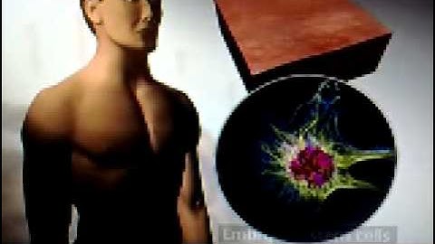 stem cell breakthrough