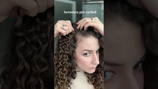 Curly hair clip in extensions tryon