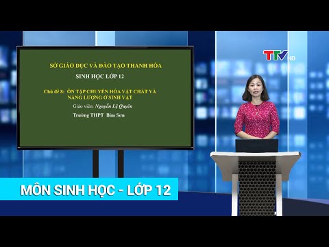 phim mối quan hệ trao đổi