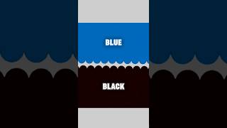 Learning colors for kids - BLUE and BLACK color for children / education video