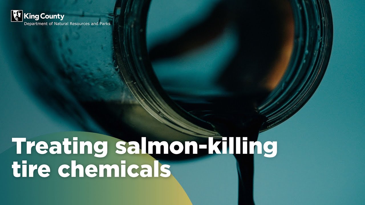 Treating salmon-killing tire chemicals