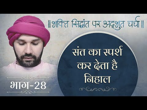 संत का स्पर्श कर देता है निहाल | भक्ति सिद्धांत पर अद्भुत चर्चा | Part 28 | Shree Hita Ambrish Ji