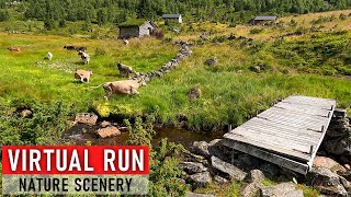 Virtual Run | Lovely Trailrunning Workout | Nature Scenery in Norway