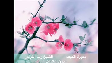 سورة الكهف كاملة بدون إعلانات: الشيخ رعد الكردي