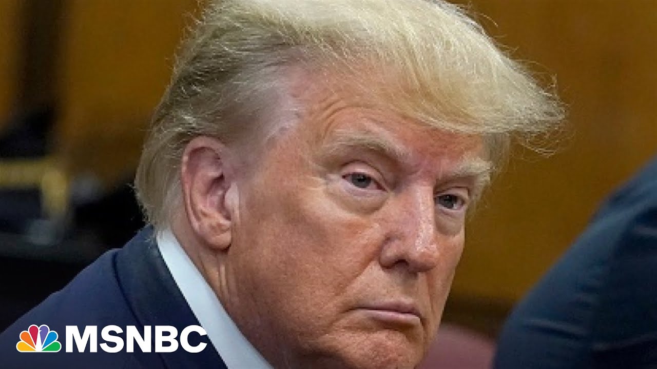 Ari Melber explains jail precedents in classified intel cases after Trump charges