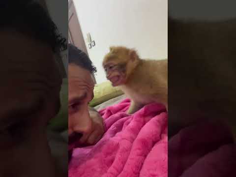 بداره ريمكس مش هقولك اسمي