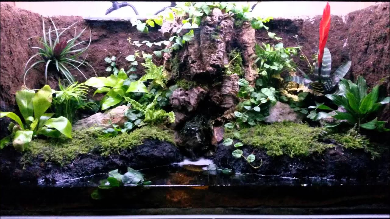 Mijn Paludarium