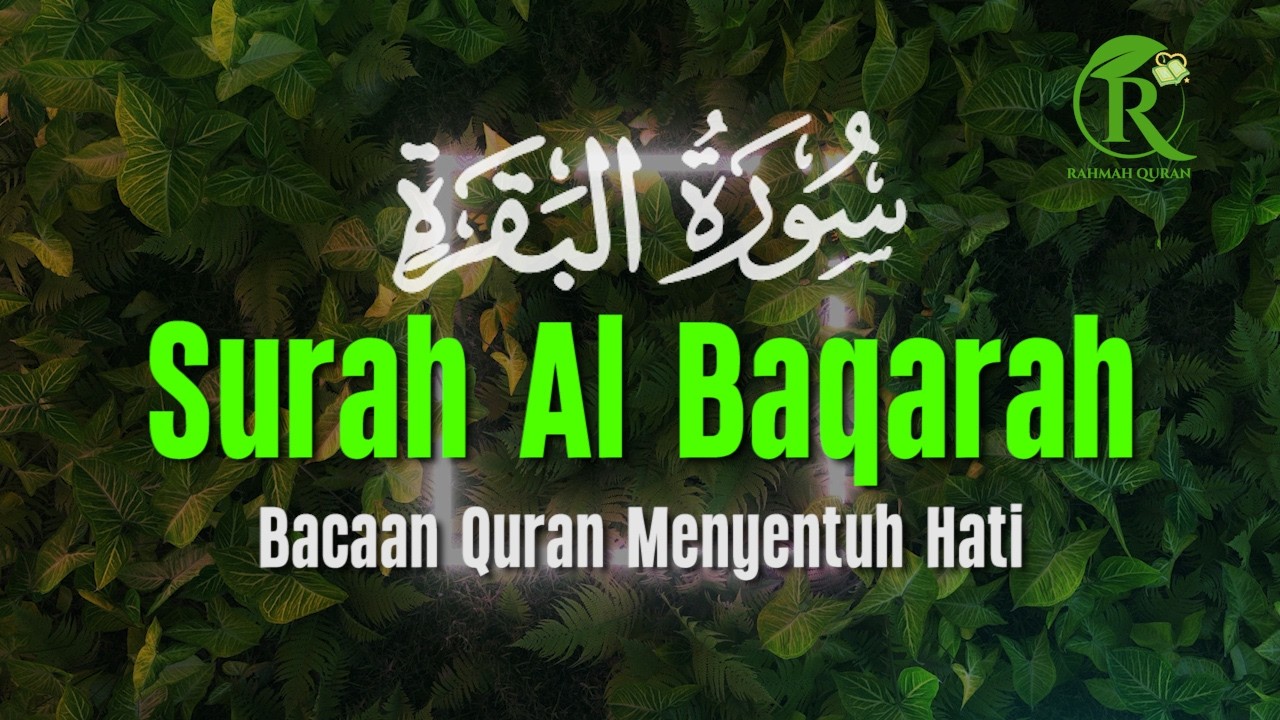 Surah Al Baqarah سورة البقرة With a Beautiful Voice Makes the Heart Calm | Ismail Al Qadi