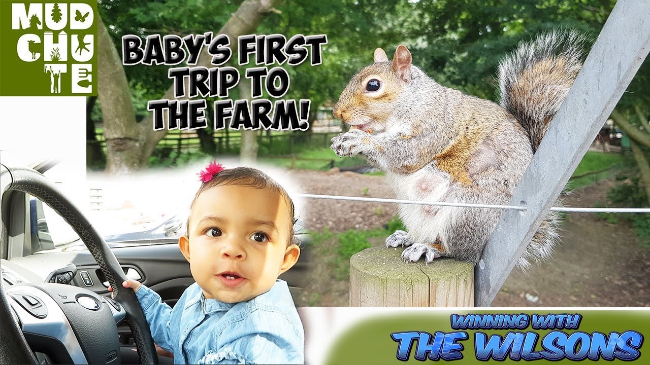 Baby's First Trip to the Farm || Mudchute Farm Review ||